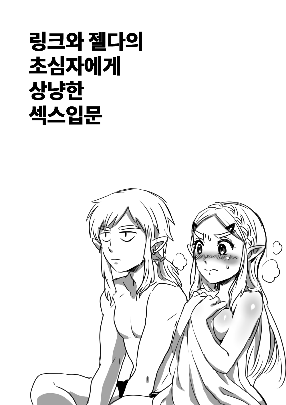 Link to Zelda no Shoshinsha ni Yasashii Sex Nyuumon | 링크와 젤다의 초심자에게 상냥한 섹스입문 page 1 full